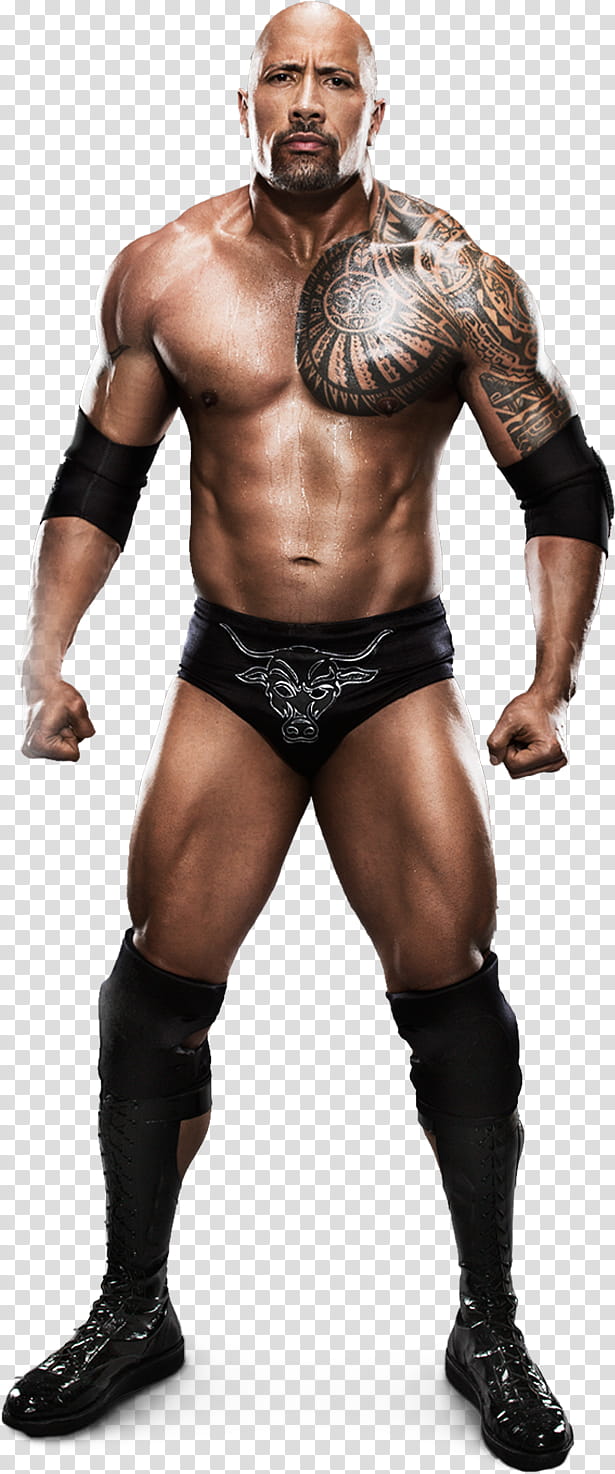 The Rock  Stats transparent background PNG clipart