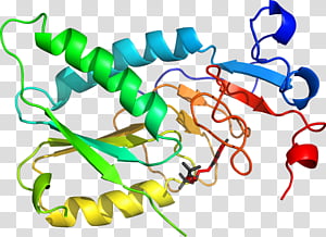 Line, Point transparent background PNG clipart thumbnail