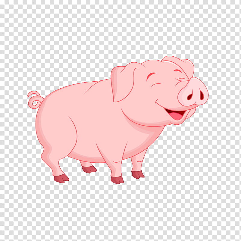 Dog Drawing, Pig, Cartoon, Live, Pink, Nose, Snout transparent background PNG clipart