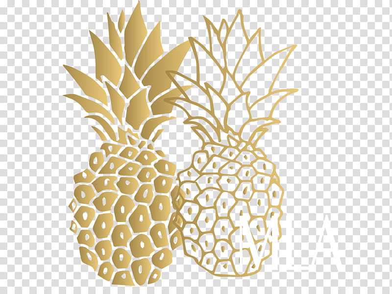 Fruit, Pineapple, Drawing, Ananas, Plant, Poales, Food transparent background PNG clipart