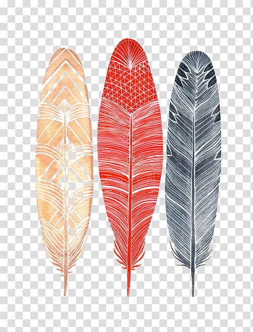 s, three black, red, and yellow feather graphics transparent background PNG clipart