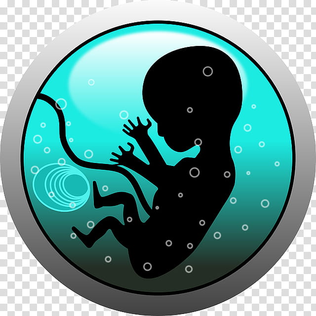 Green Board, Infant, Pregnancy, Uterus, Childbirth, Amniotic Fluid, Baby On Board, Woman transparent background PNG clipart