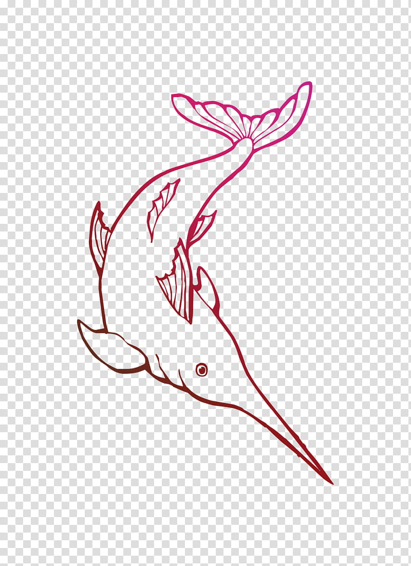 Dolphin, Drawing, Coloring Book, Kleurplaat, Child, Painting, Colored Pencil, Fish transparent background PNG clipart