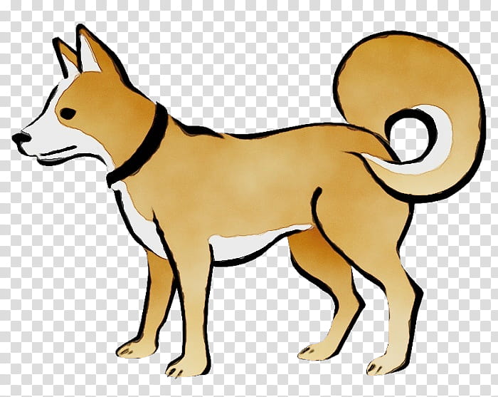 dog dog breed cartoon canaan dog, Watercolor, Paint, Wet Ink, Line Art transparent background PNG clipart