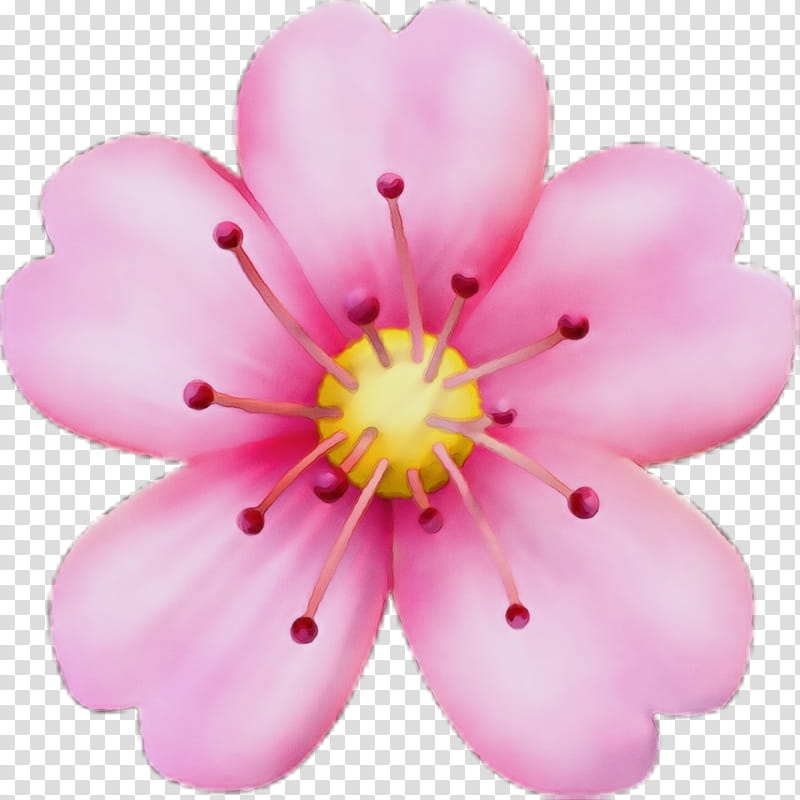 Cherry Blossom, Emoji, Flower, Pink, Rose, Sticker, Emoticon, Floral Design transparent background PNG clipart