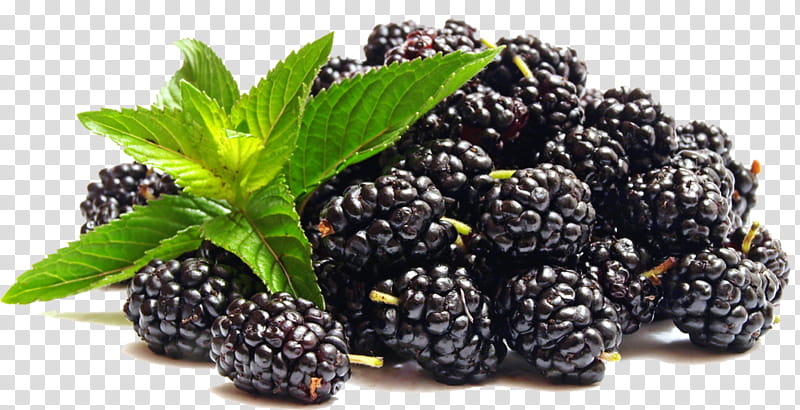Cigarette, Blackberry, Juice, Berries, Fruit, Composition Of Electronic Cigarette Aerosol, Flavor, Jam transparent background PNG clipart