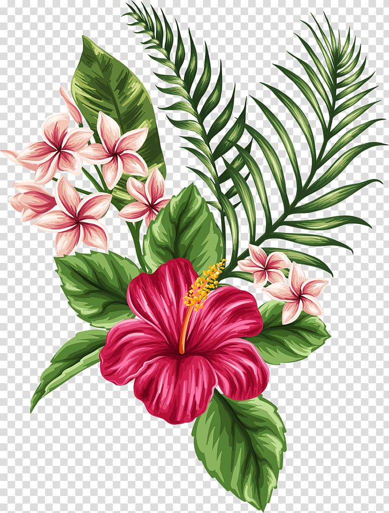 Tropical, green and pink leaf plant transparent background PNG clipart