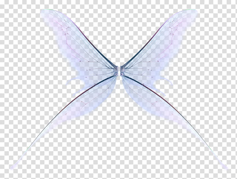 UNRESTRICTED Fairy Wings , pink and black wings transparent background PNG clipart