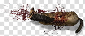 Dead Horse , brown root crop transparent background PNG clipart