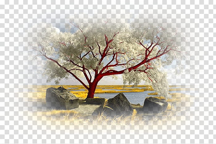 Winter House Drawing, Tree, Tree House, Nature, Infrared , Tree Tunnel, Winter
, Branch transparent background PNG clipart