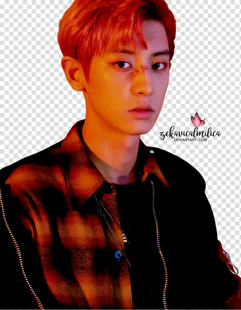 EXO Chanyeol LOTTO, man wearing red and black checked zip jacket transparent background PNG clipart