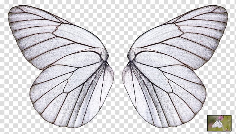 UNRESTRICTED White Butterfly Wings, women's white and black leather sling bag transparent background PNG clipart