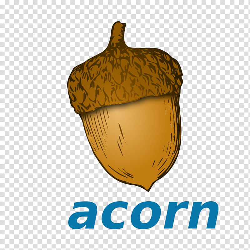 Oak Tree Drawing, Acorn, Nut, Acorn Squash, Logo, Plant, Vegetable, Food transparent background PNG clipart