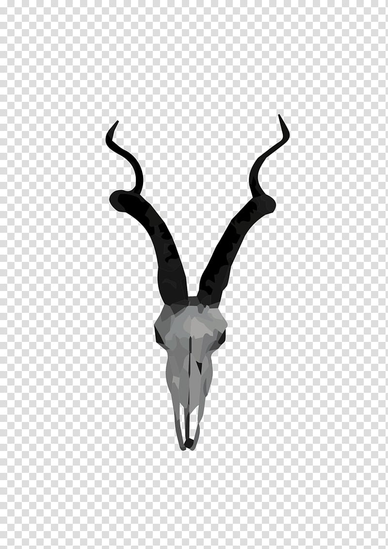 African Family, Antelope, Springbok, Impala, Sable Antelope, Gazelle, Kudu, Horn transparent background PNG clipart