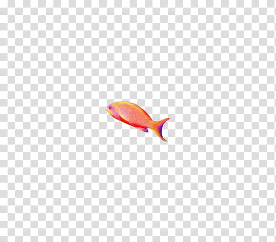 Amazing fishes, red pet fish transparent background PNG clipart