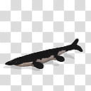 Spore creature Tylosaurus transparent background PNG clipart