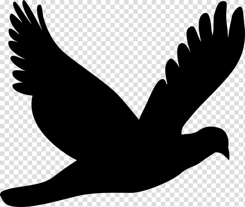 Bird Silhouette, Pigeons And Doves, Flight, Drawing, Beak, Hand, Blackandwhite, Finger transparent background PNG clipart