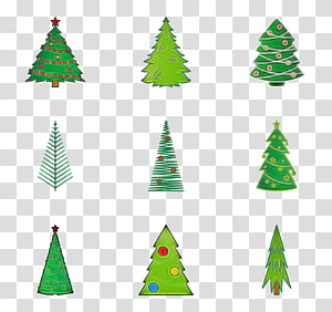 Christmas tree, Oregon Pine, Green, Colorado Spruce, Christmas Decoration, Evergreen, Conifer, Holiday Ornament transparent background PNG clipart thumbnail