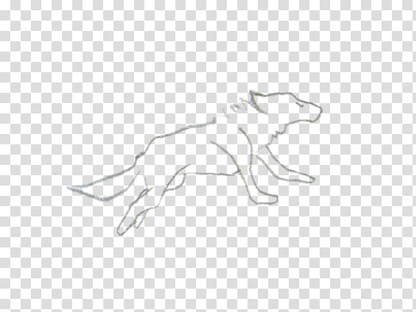 Xoxo , wolf sketch illustration transparent background PNG clipart