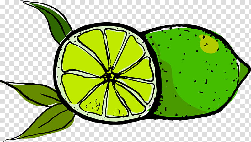 Green Leaf, Citrus, Symmetry, Plant Stem, Flower, Line, Fruit, Yellow transparent background PNG clipart