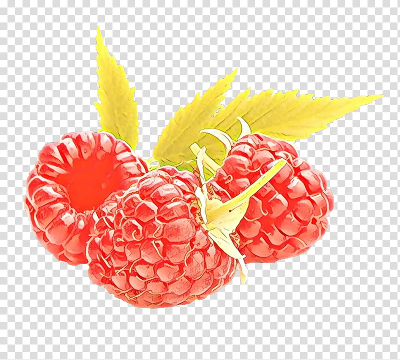 Pineapple, Cartoon, Berry, Raspberry, Fruit, Food, Rubus, Plant transparent background PNG clipart