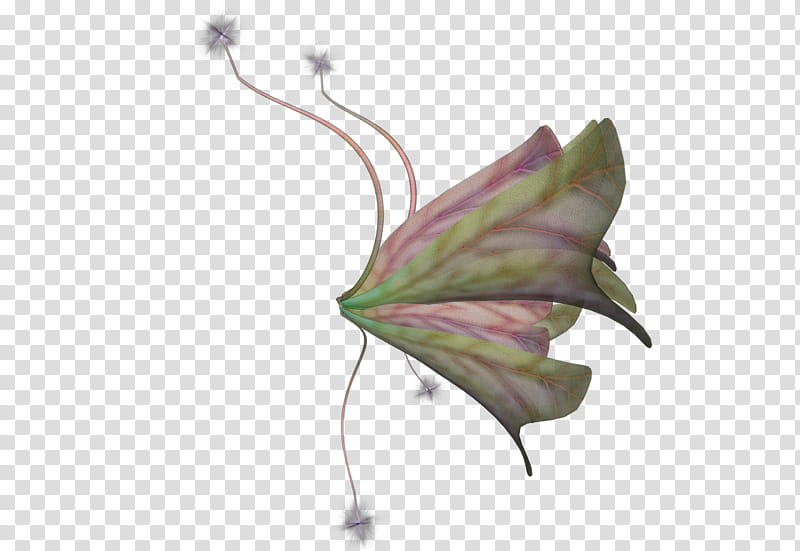 Wings Flower Wings , green illustration transparent background PNG clipart