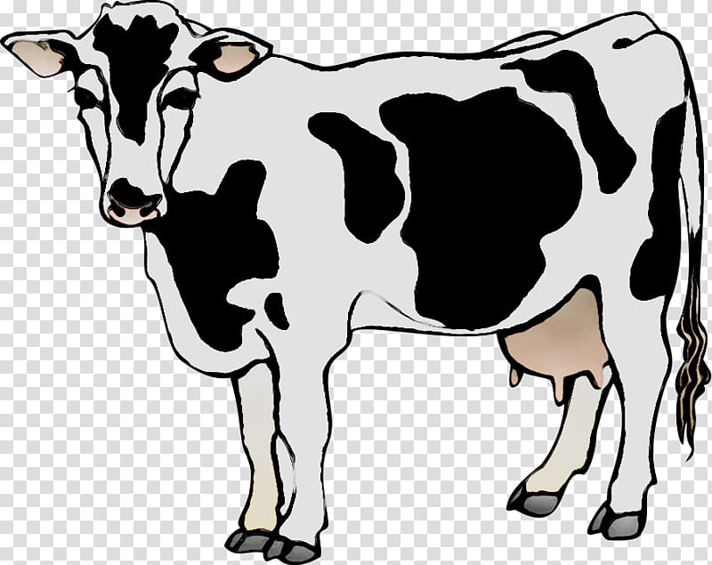 Family Silhouette, Dairy Cattle, Angus Cattle, Holstein Friesian Cattle, Beef Cattle, Live, Dairy Cow, Bovine transparent background PNG clipart