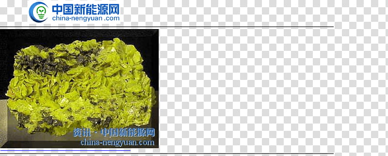 Vegetable, Uranium, Yellow, Plant, Cuisine, Food, Recipe, Leaf Vegetable transparent background PNG clipart