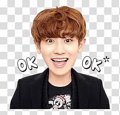 EXO EXO Next Door Line transparent background PNG clipart