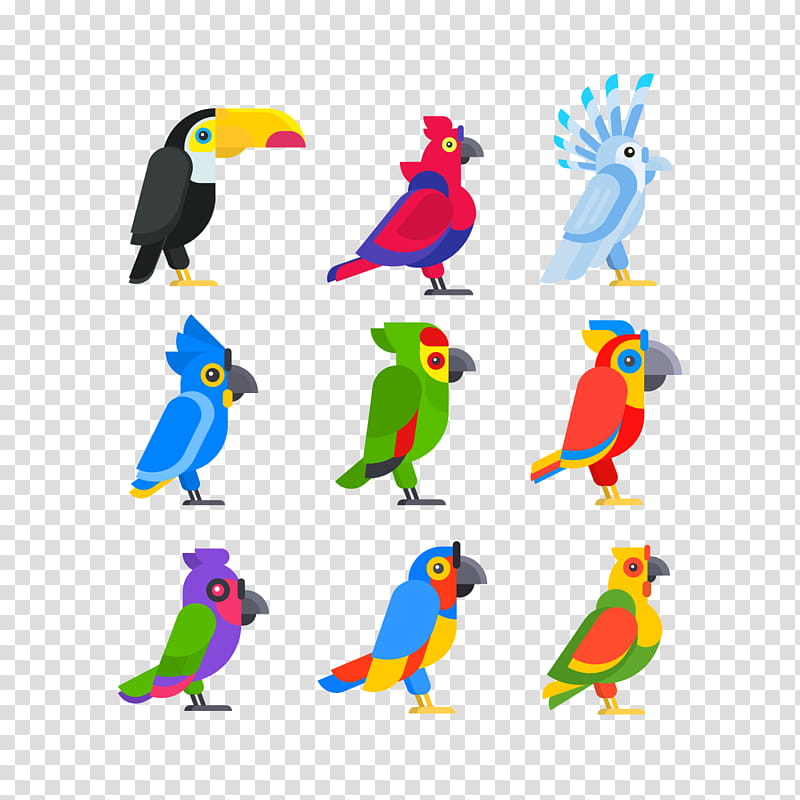 Bird Parrot, Cockatoo, Cartoon, Animal, Parakeet, Beak, Macaw, Line transparent background PNG clipart