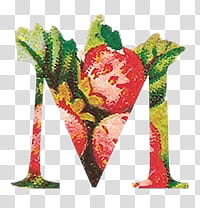 , red and green letter M graphic screenshot transparent background PNG clipart