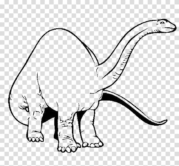 Dinosaur, Brachiosaurus, Coloring Book, Brontosaurus, Drawing, Triceratops, Apatosaurus, Page transparent background PNG clipart