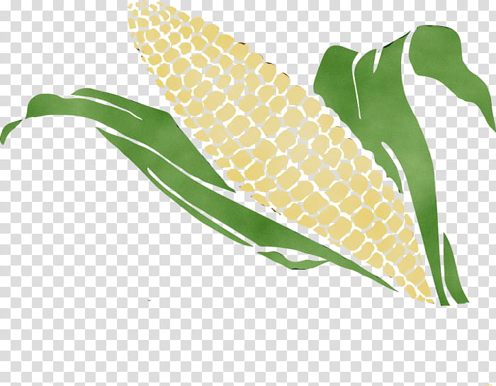 Drawing Of Family, Watercolor, Paint, Wet Ink, Sweet Corn, Corncob, Genetically Modified Organism, AquAdvantage Salmon transparent background PNG clipart