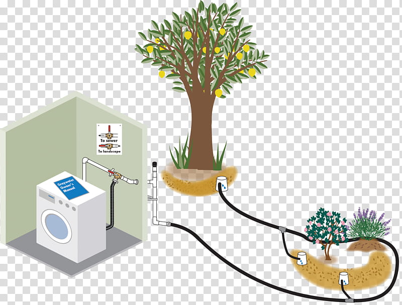 Woody, Greywater, Reuse, Rainwater Harvesting, Irrigation, Landscape, Tree, Milpitas transparent background PNG clipart