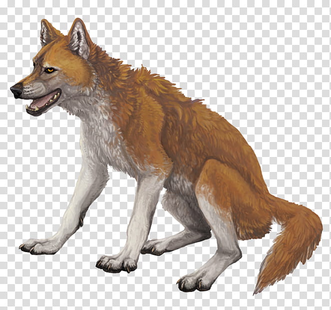 chelsea&#;s woof transparent background PNG clipart