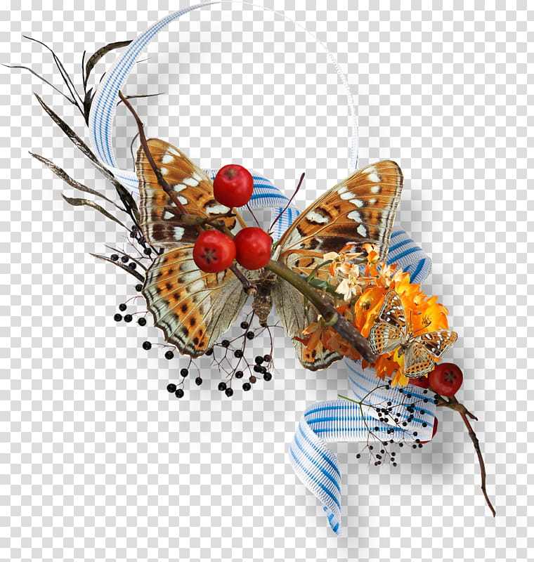 Autumn, Butterfly, M 0d, Frames, Email, Ornament, Yandex, Cynthia Subgenus transparent background PNG clipart