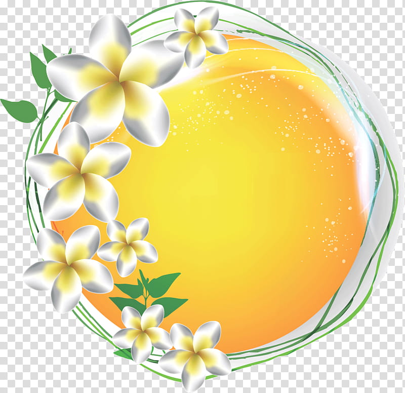 Flos Plumeriae Flower Frame Floral Frame, Frangipani, Yellow, Plant, Wildflower transparent background PNG clipart