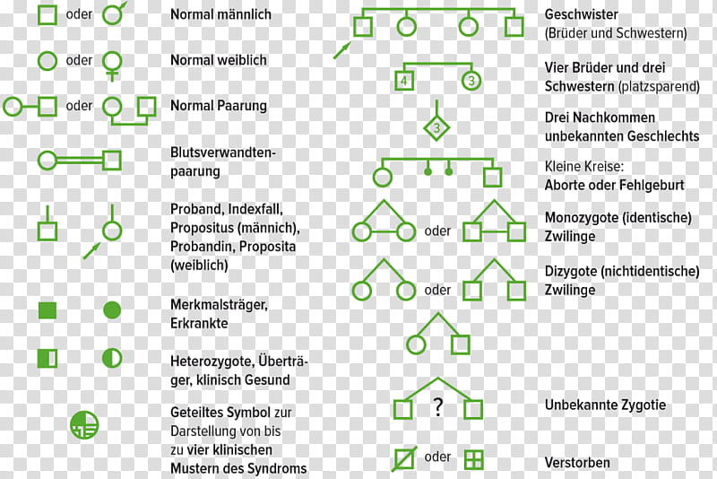 Family Tree, Genealogy, Document, Diagram, Pedigree Chart, Technology, Genealogy Book, Text transparent background PNG clipart