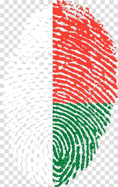 Flag, Fingerprint, Flag Of Morocco, Biometrics, Flag Of The Philippines, Fingerprint Scanner, Flag Of Syria, Flag Of China transparent background PNG clipart