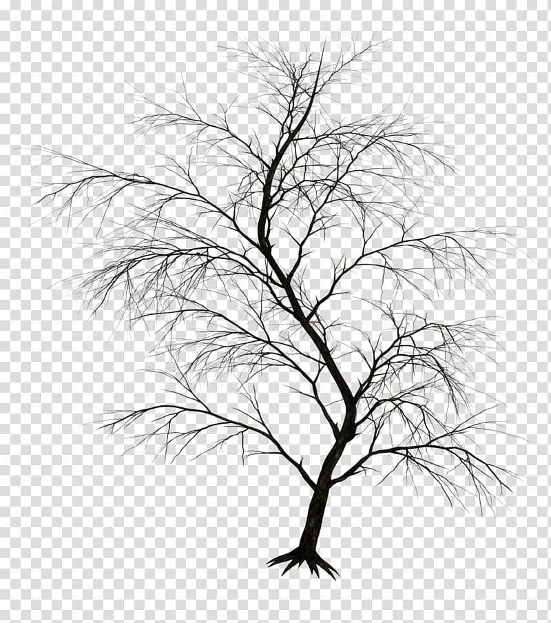 Dark, bare tree illustration transparent background PNG clipart