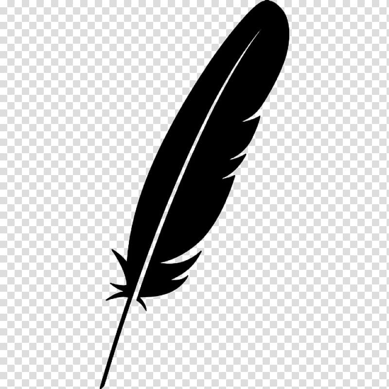 Feather, Quill, Black, Leaf, Wing, Pen, Blackandwhite, Writing Implement transparent background PNG clipart