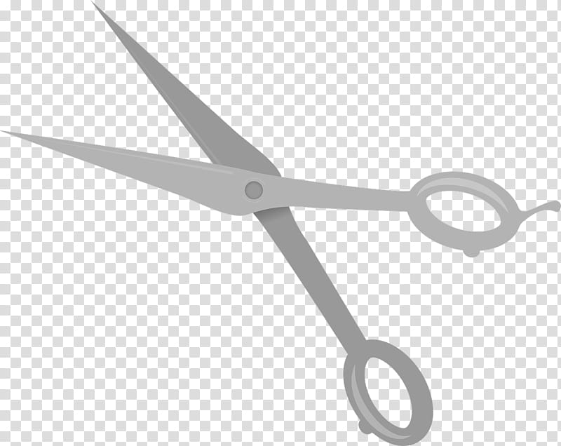 Hair, Scissors, Barber, Hairstyle, Hairdresser, Beauty Parlour, Haircutting Shears, Head Hair transparent background PNG clipart