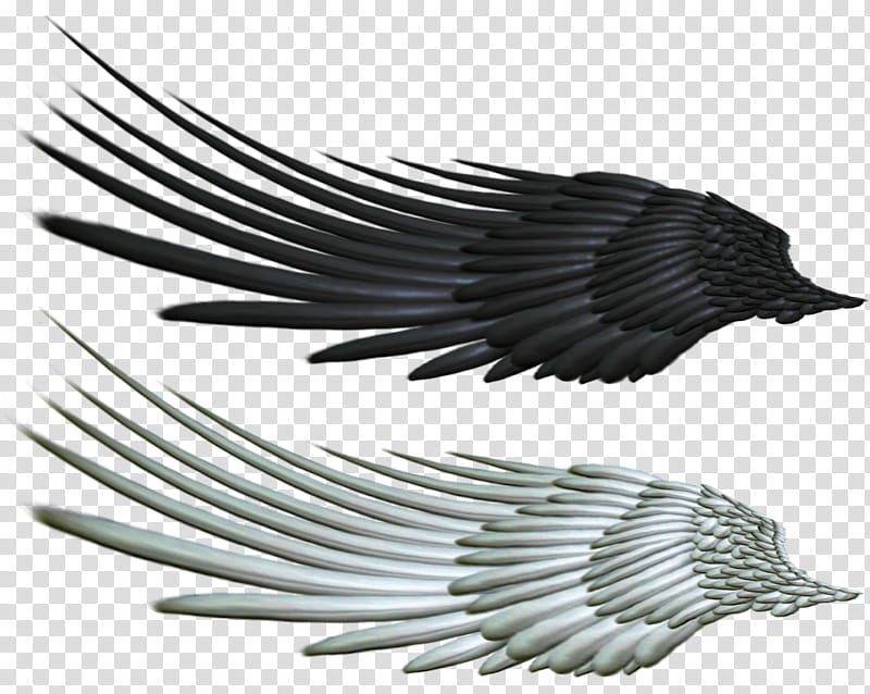 Good and Evil Angel Wing , black and white wings graphic transparent background PNG clipart