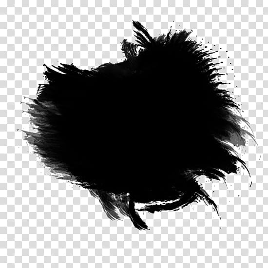 Recursos Texturas Cosas, black and white bird illustration transparent background PNG clipart
