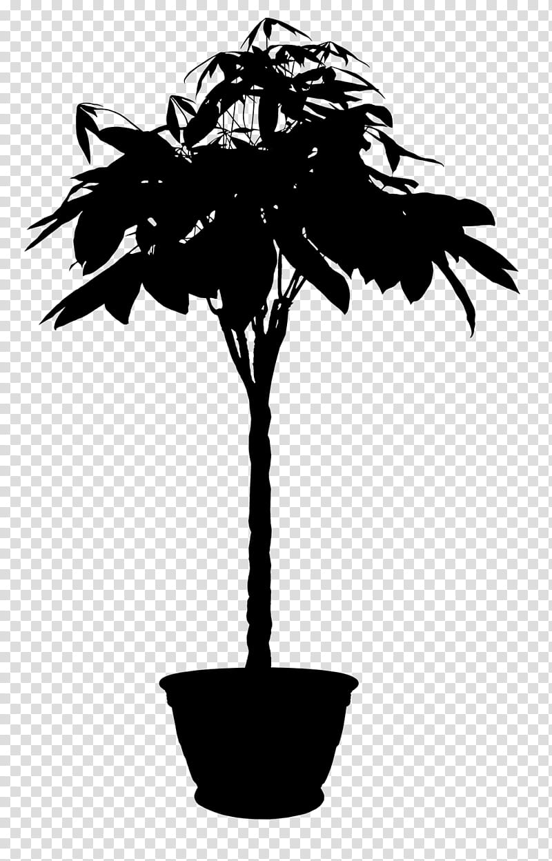 Palm Tree Silhouette, Palm Trees, 3D Modeling, 3D Computer Graphics, Threedimensional Space, Twodimensional Space, Plants, Texture Mapping transparent background PNG clipart