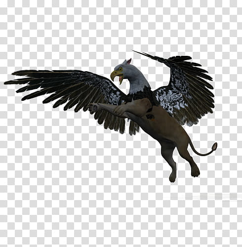 gryphon, gray and white unicorn transparent background PNG clipart