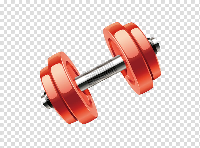 weights dumbbell exercise equipment wheel transparent background PNG clipart