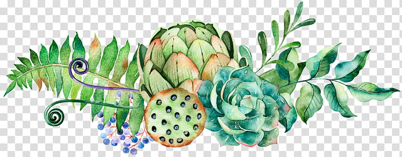 Watercolor Floral, Watercolor Flowers, Watercolor Painting, Succulent Plant, Cactus, Drawing, Texture, Sticker transparent background PNG clipart