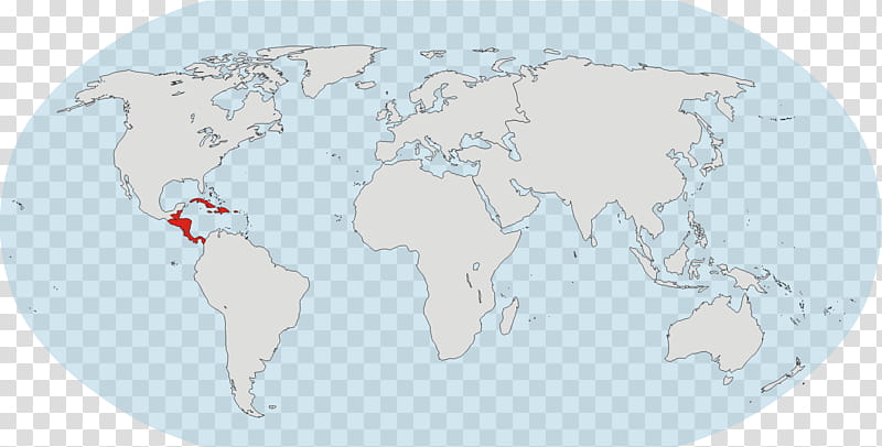 World, Central America, World Map, Antilles, Continent, Portuguese Language, Americas, Area transparent background PNG clipart