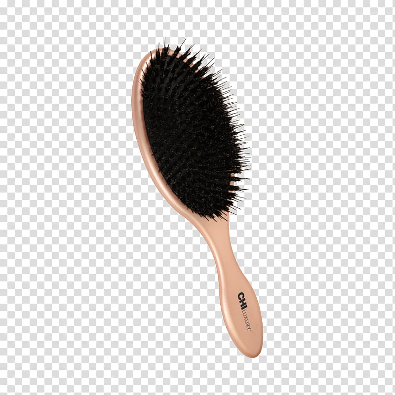 Hair, Comb, Hairbrush, Hairdresser, Hair Care, Scalp, Combs Brushes, Hair Styling Tools transparent background PNG clipart